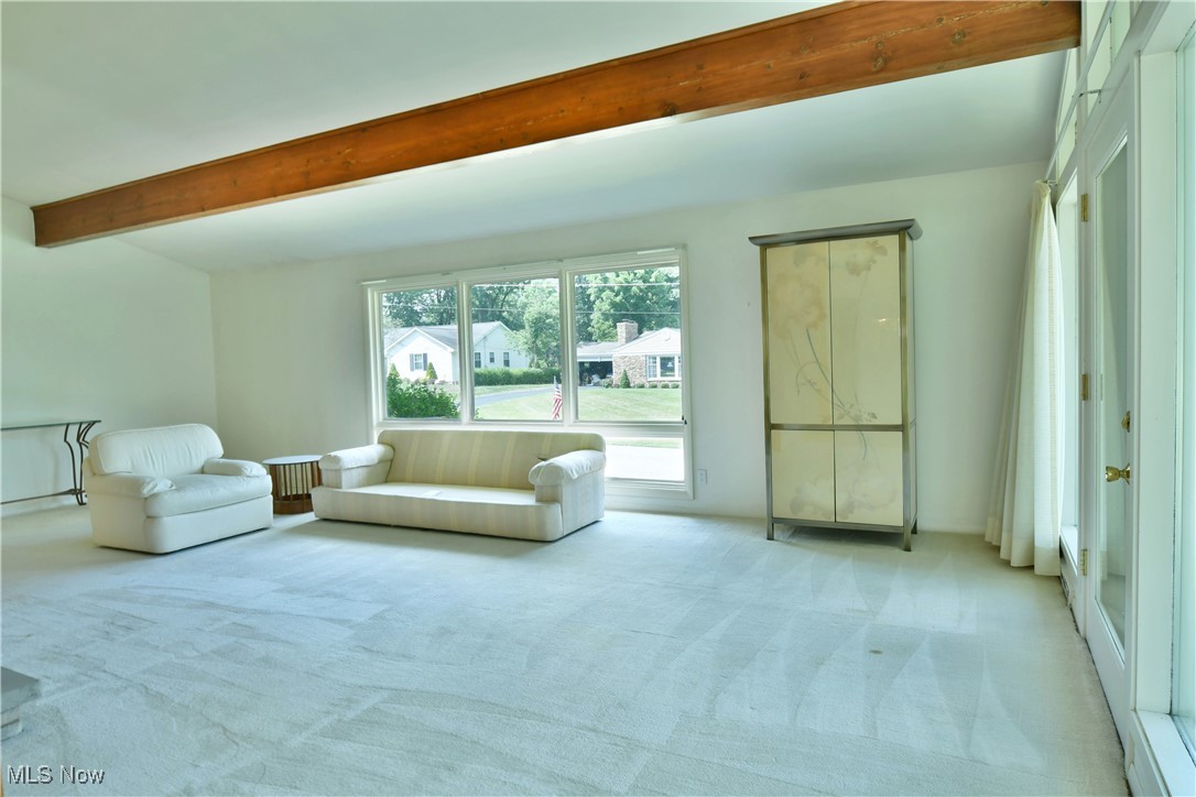 Canfield Village Rep - Residential