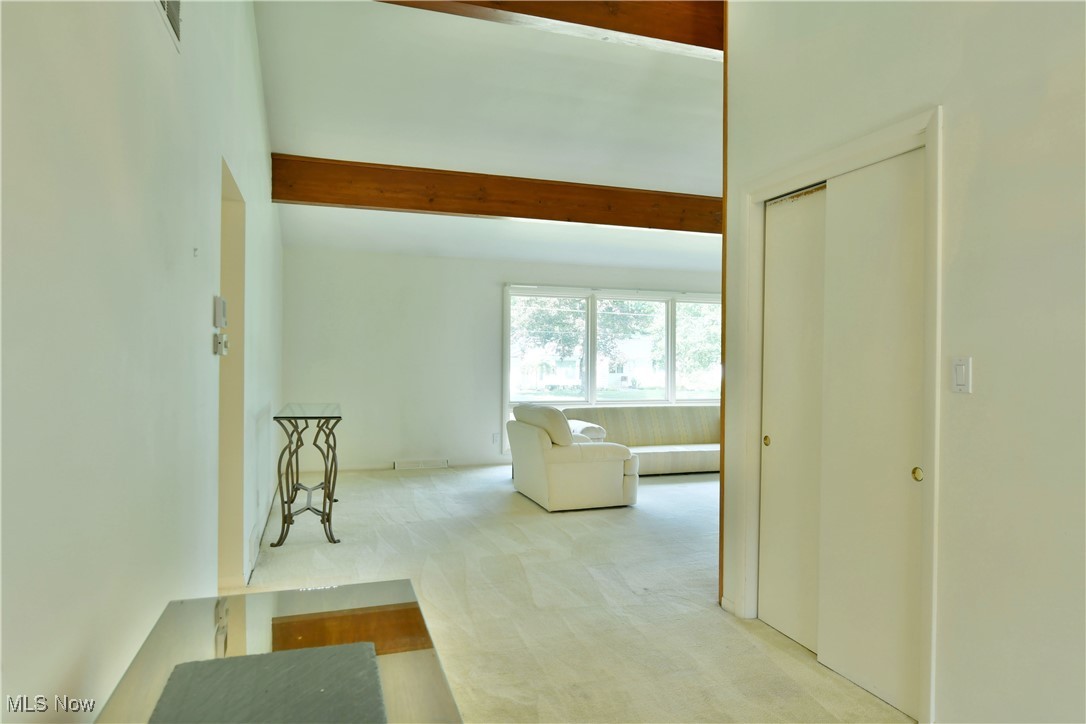 Canfield Village Rep - Residential