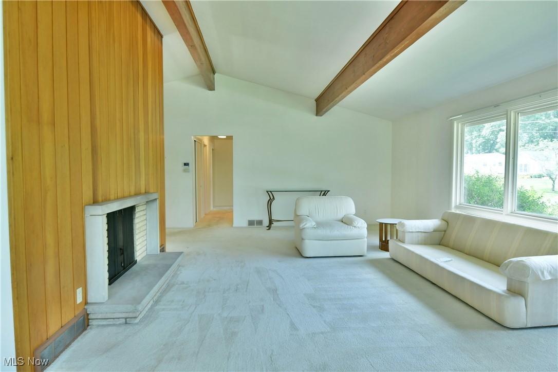 Canfield Village Rep - Residential