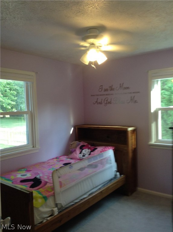 Mentor Park Acres - Residential