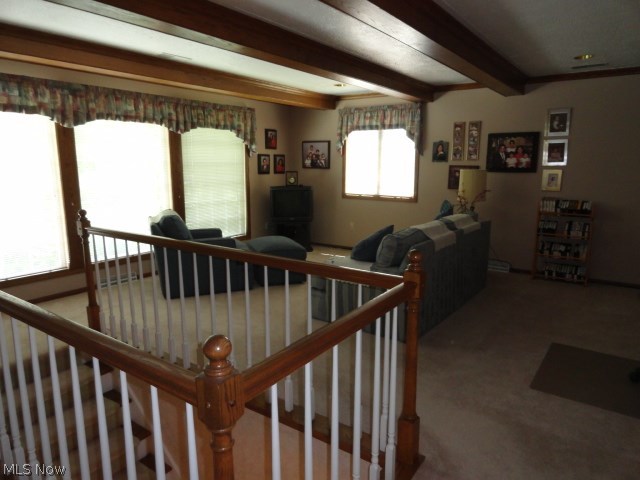 Bob-O-Link Allotment 05 - Residential