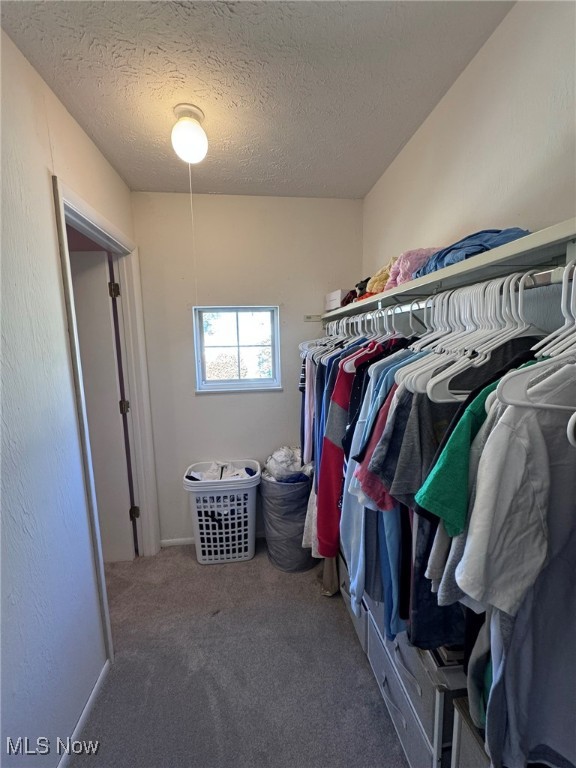 Courtyards Woodbury Condo - Residential