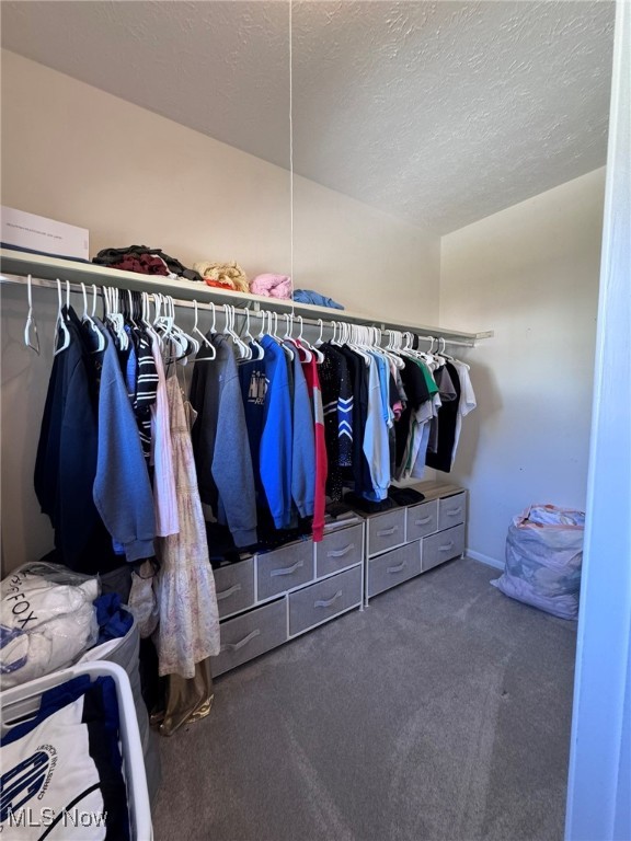 Courtyards Woodbury Condo - Residential