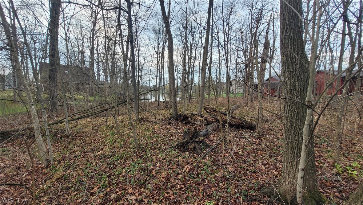 Cinnamon Lake - Residential