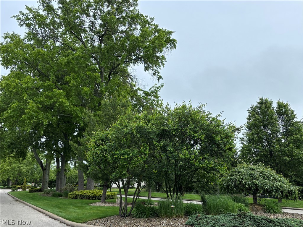 Saybrook Townsquare Condo - Residential
