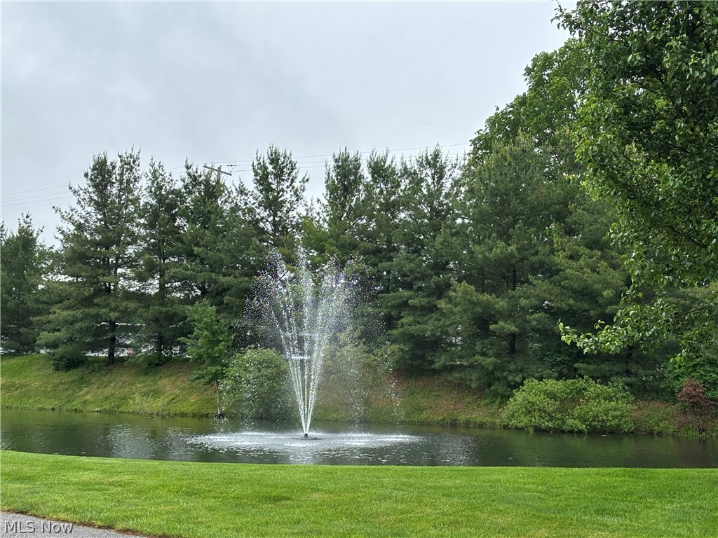 Saybrook Townsquare Condo - Residential