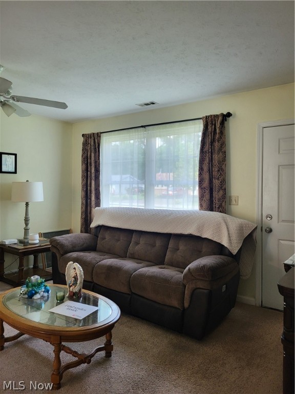 Cleveland Road Homesites Allot - Residential