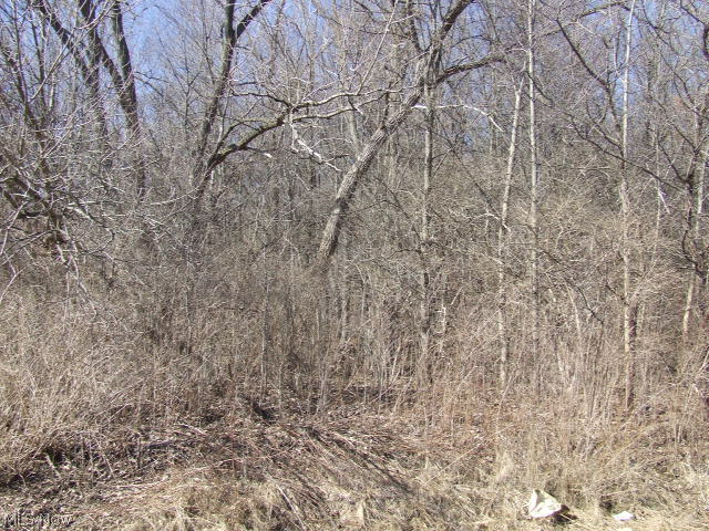 Rare 1/2 acre lot in West Akron! Purchase lot next door for almost an acre of woods waiting for you and your builder. All utilities available. Convenient to W. Market St. and Fairlawn activities but out of the hub! No neighbors behind, beside or across the street.