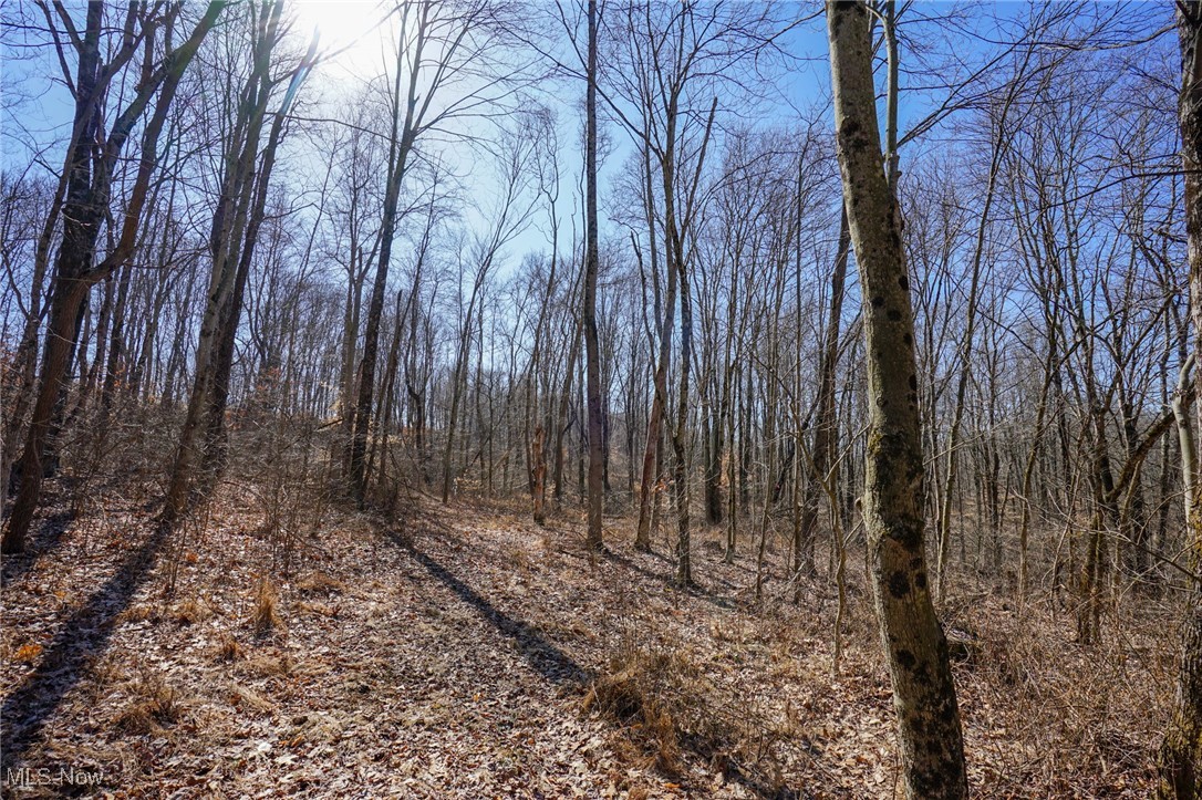 Cooks Hill Rd, Glenford, Ohio image 3