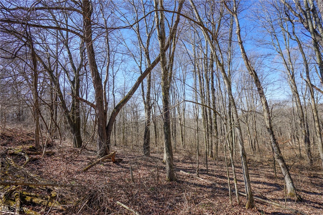 Cooks Hill Rd, Glenford, Ohio image 8