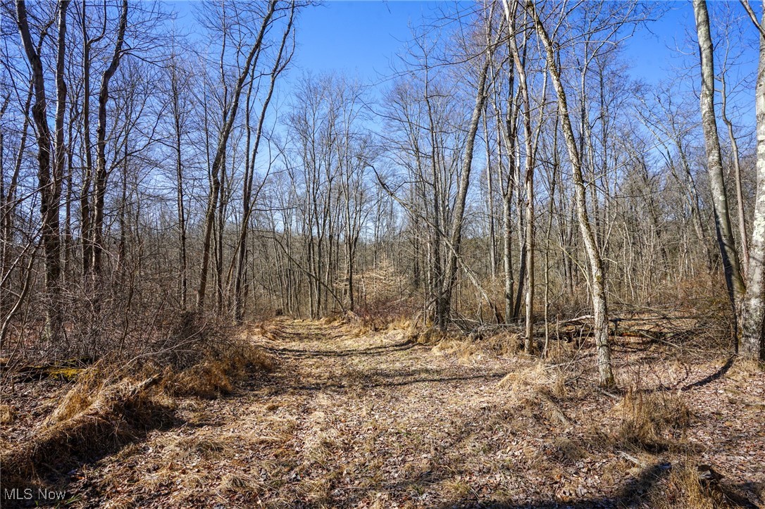 Cooks Hill Rd, Glenford, Ohio image 14