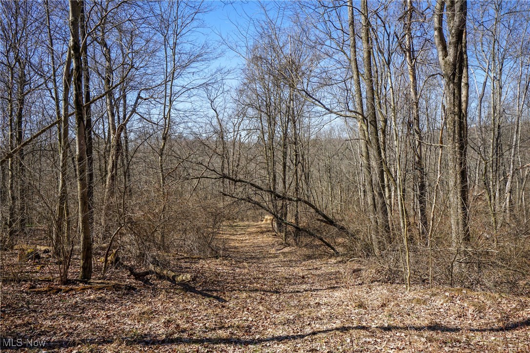 Cooks Hill Rd, Glenford, Ohio image 9