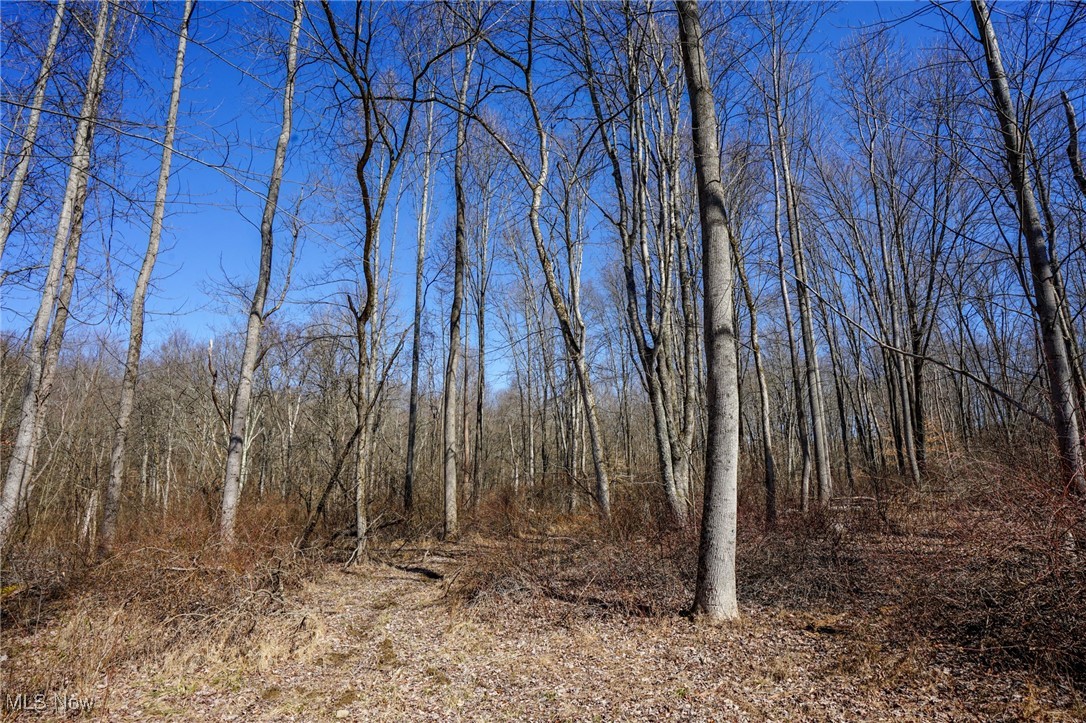Cooks Hill Rd, Glenford, Ohio image 12