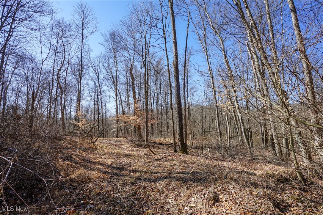 Cooks Hill Rd, Glenford, Ohio image 16