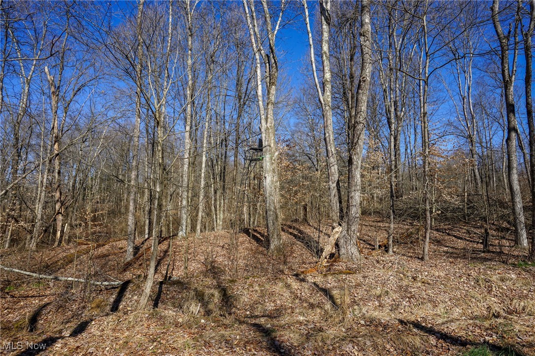 Cooks Hill Rd, Glenford, Ohio image 15