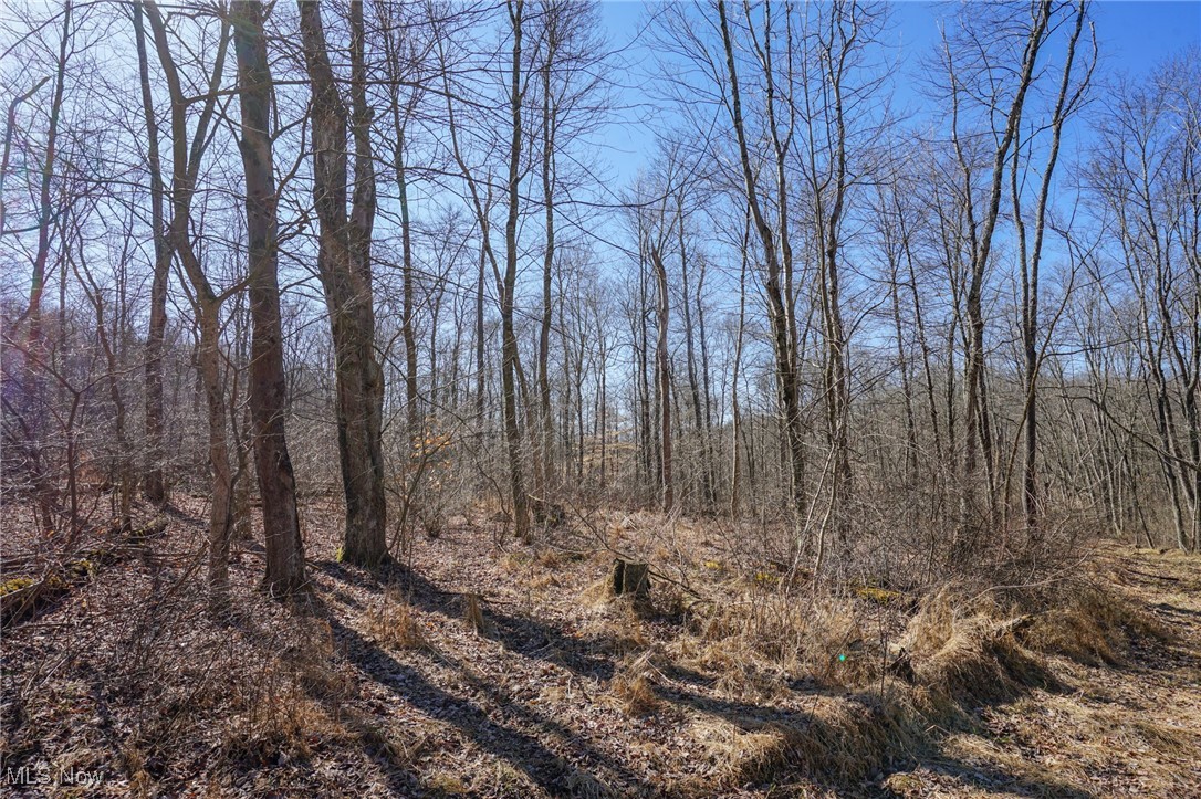 Cooks Hill Rd, Glenford, Ohio image 13