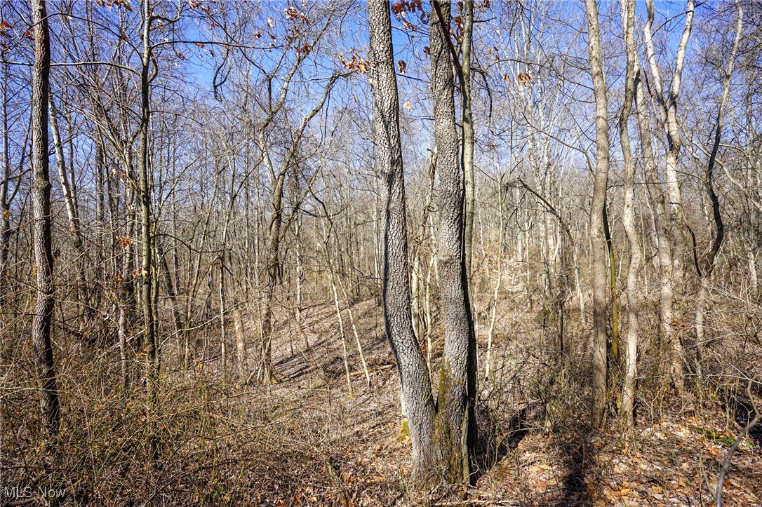 Cooks Hill Rd, Glenford, Ohio image 4