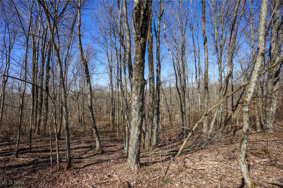 Cooks Hill Rd, Glenford, Ohio image 7