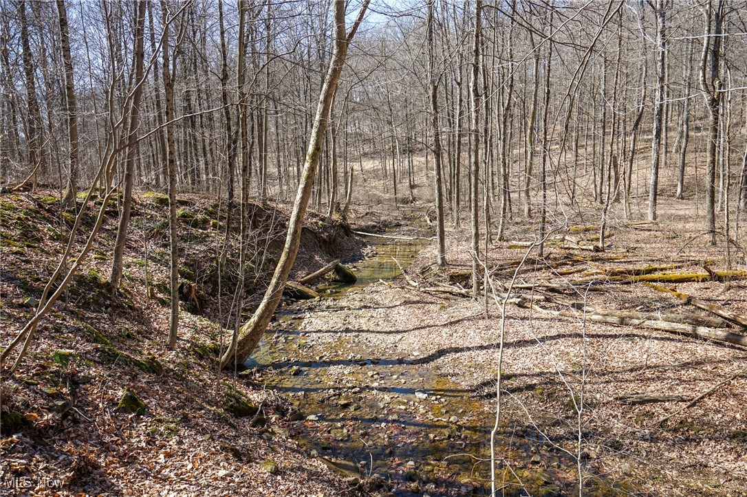 Cooks Hill Rd, Glenford, Ohio image 22