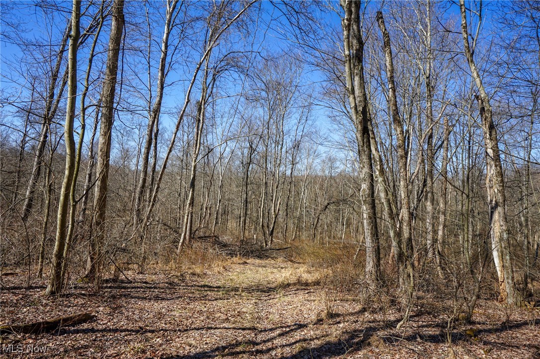 Cooks Hill Rd, Glenford, Ohio image 11