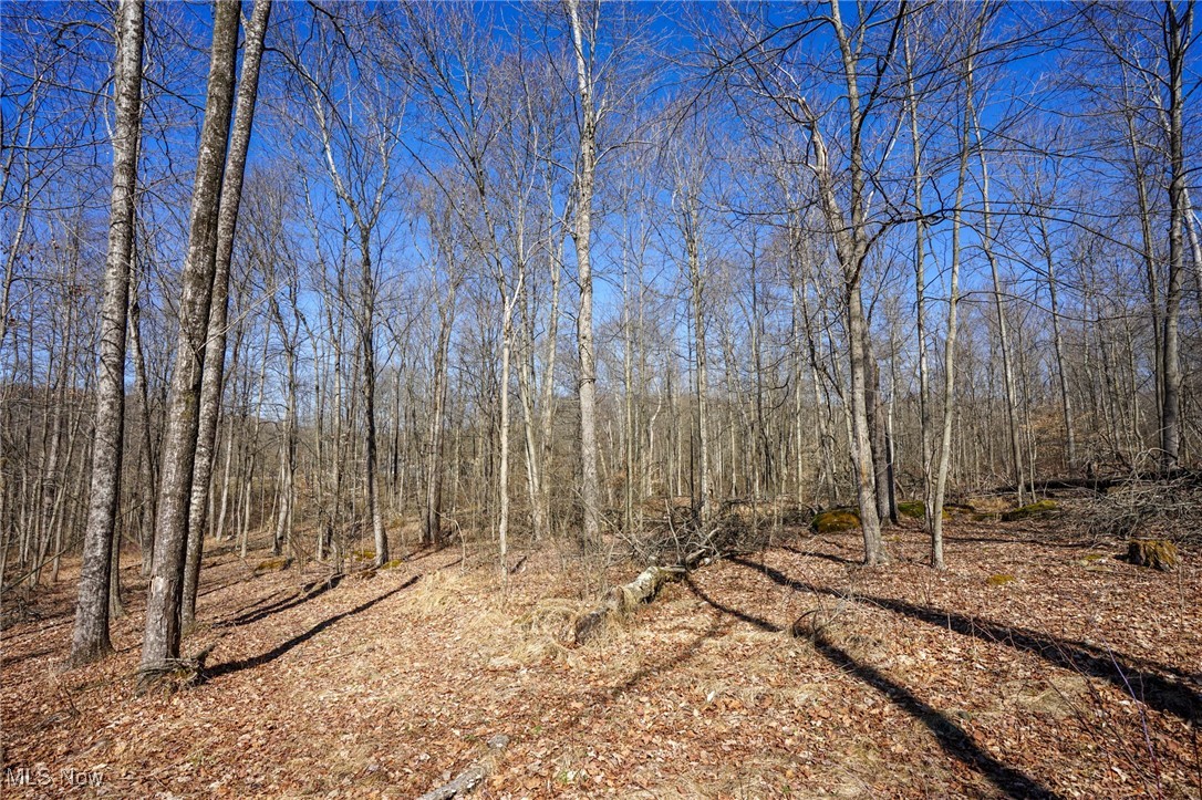 Cooks Hill Rd, Glenford, Ohio image 26