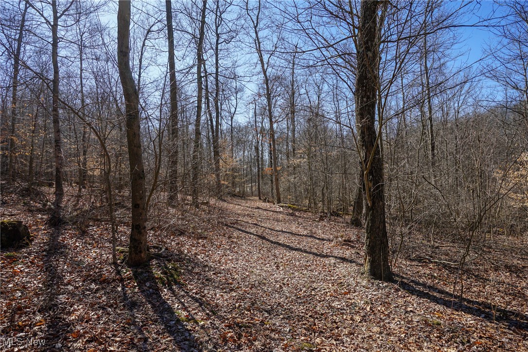Cooks Hill Rd, Glenford, Ohio image 24