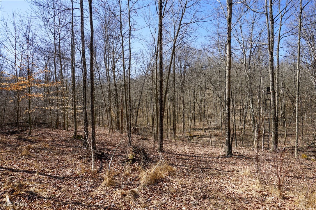 Cooks Hill Rd, Glenford, Ohio image 18
