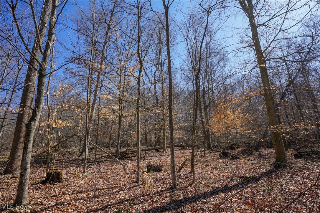 Cooks Hill Rd, Glenford, Ohio image 23