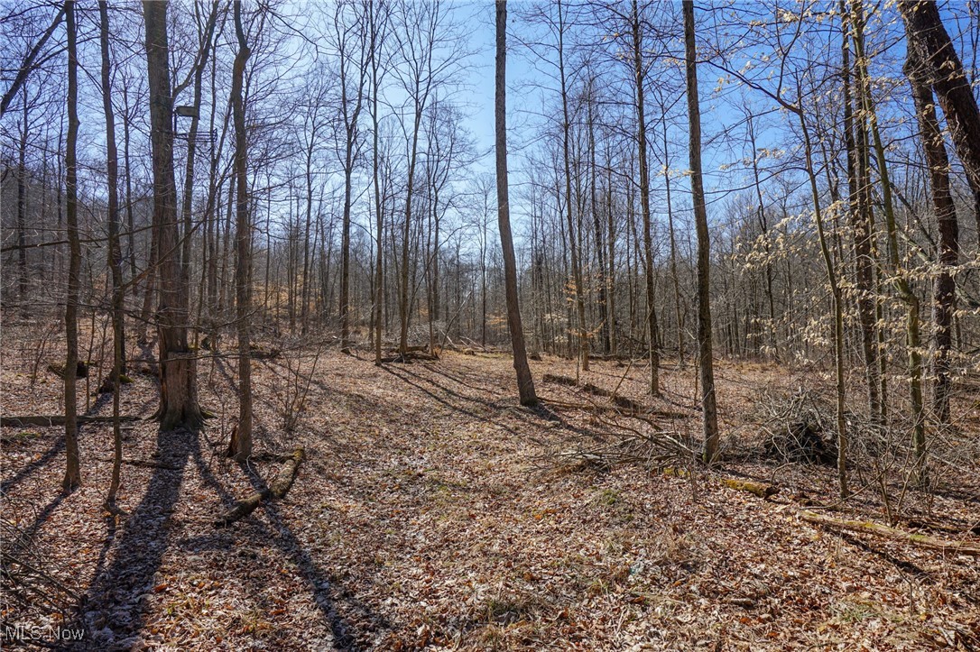 Cooks Hill Rd, Glenford, Ohio image 17