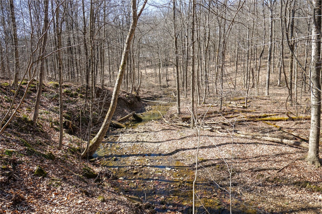 Cooks Hill Rd, Glenford, Ohio image 21