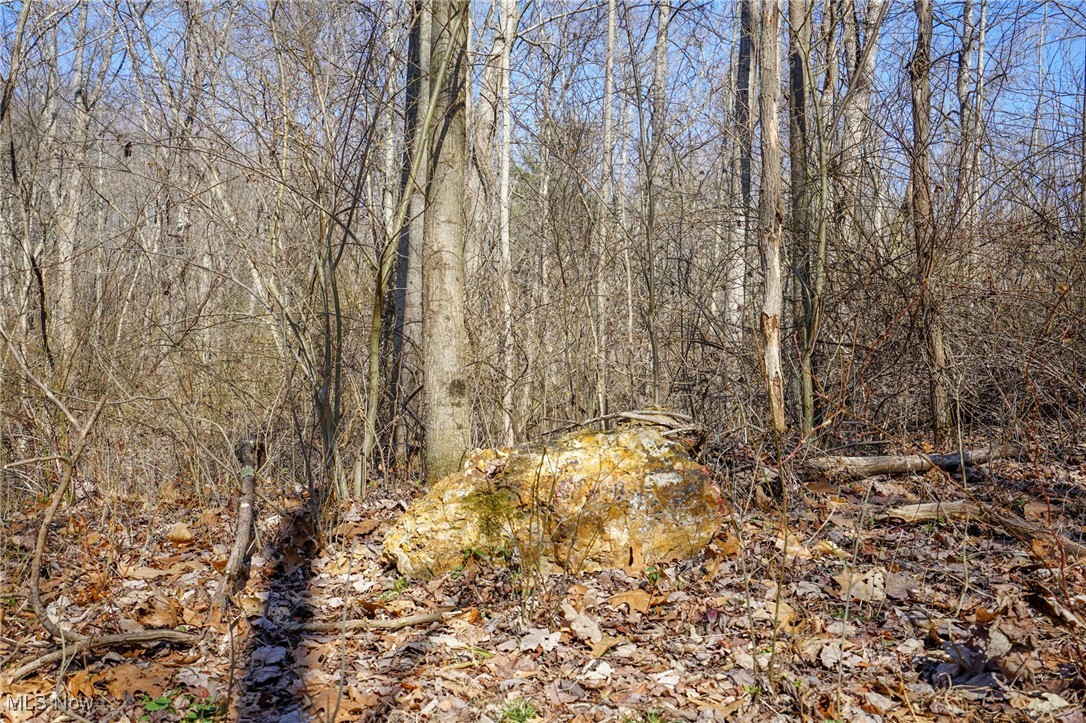 Cooks Hill Rd, Glenford, Ohio image 2