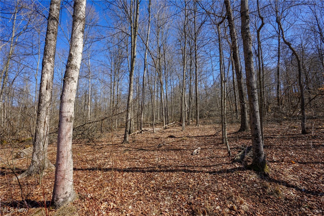 Cooks Hill Rd, Glenford, Ohio image 25