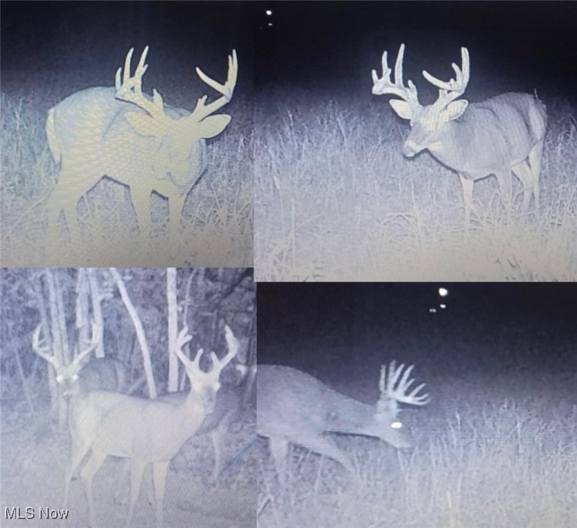 Cooks Hill Rd, Glenford, Ohio image 39