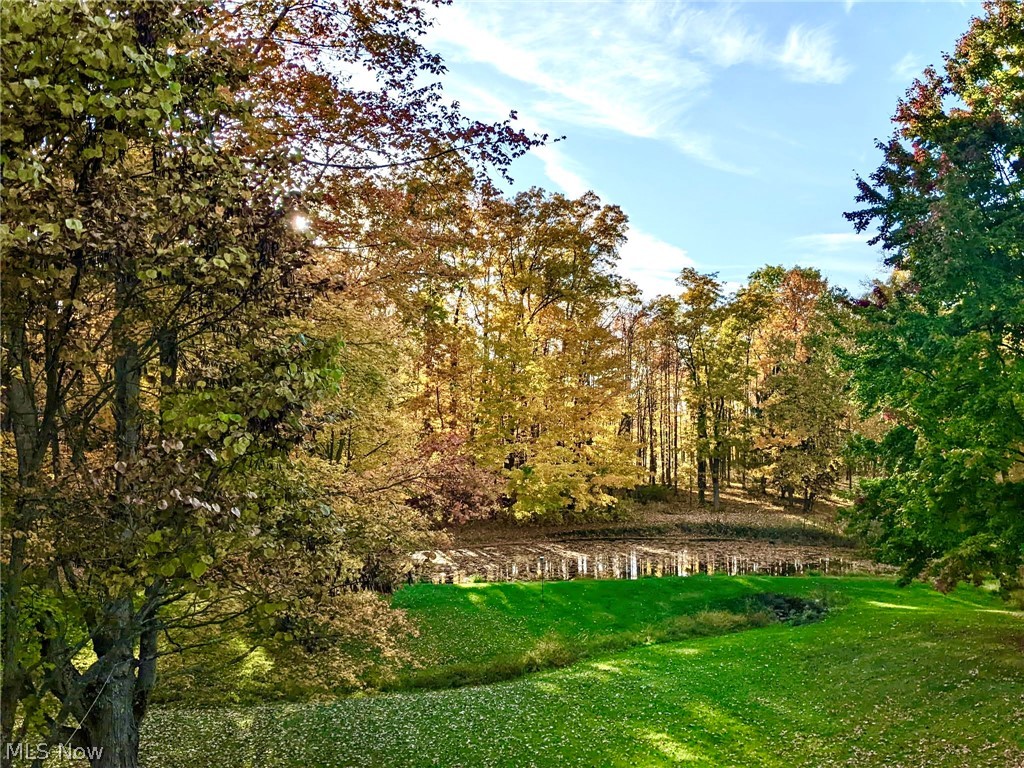 Saybrook - Residential