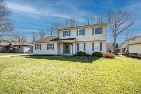 605 Silver Meadow Lane, Boardman, OH 44512 - MLS#: 5094482