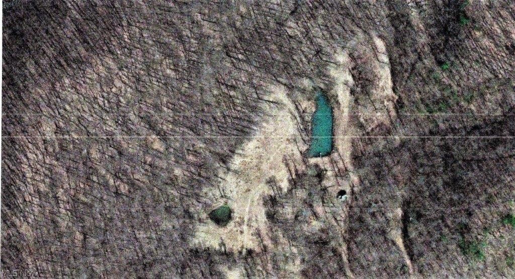 Beautiful 128 acres (surveyed) FREE GAS, pond, mostly wooded. Poplar trees not cut for many years, partially timbered 18 yrs ago. Nice trees. Wildlife is abundant, deer, turkey, squirrels, rabbits, etc. and occasional bear. Must see to appreciate, private excellent for cabin or home. Several springs. Gas (FREE) and electric is available. Come see Wild Wonderful WV at its best. Jut a few minutes drive to I-79 Big Otter exit.