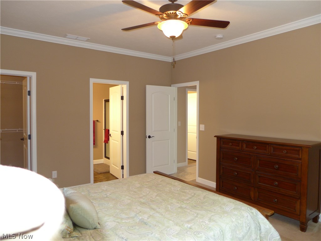 The Village At Ashton Place - Residential