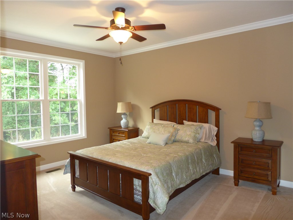 The Village At Ashton Place - Residential