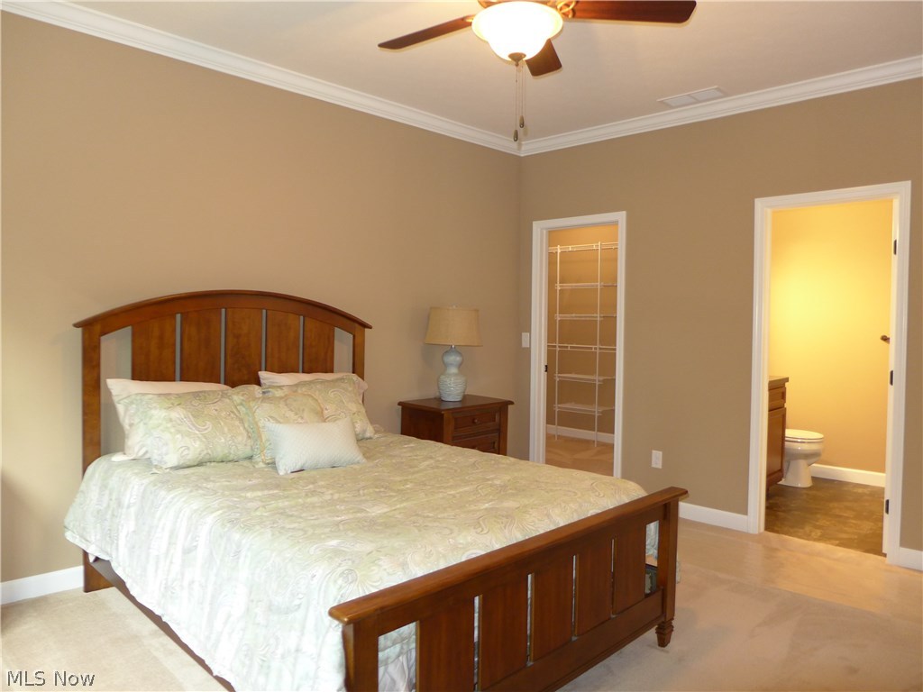 The Village At Ashton Place - Residential