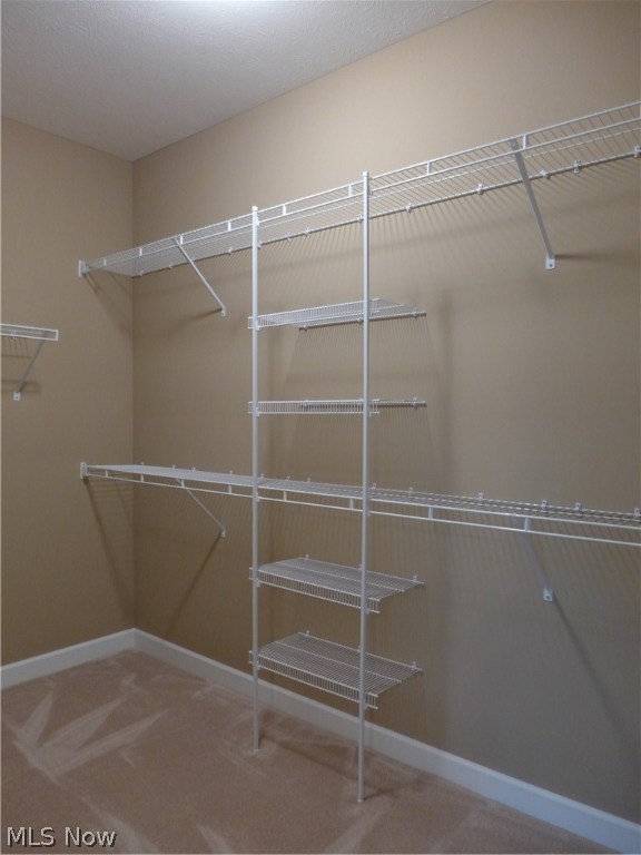 The Village At Ashton Place - Residential