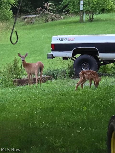 Tiny photo for 994 Mcgill Road, Vincent, OH 45784 (MLS # 5190231)