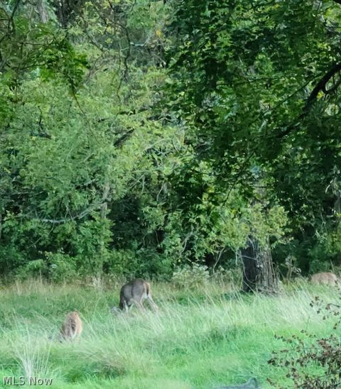 Tiny photo for 994 Mcgill Road, Vincent, OH 45784 (MLS # 5190231)