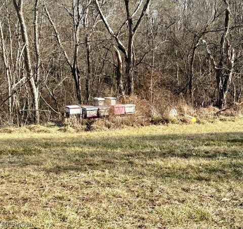 Tiny photo for 994 Mcgill Road, Vincent, OH 45784 (MLS # 5190231)