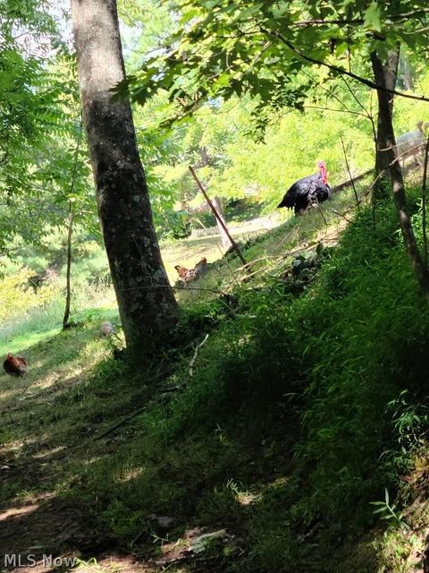 Tiny photo for 994 Mcgill Road, Vincent, OH 45784 (MLS # 5190231)