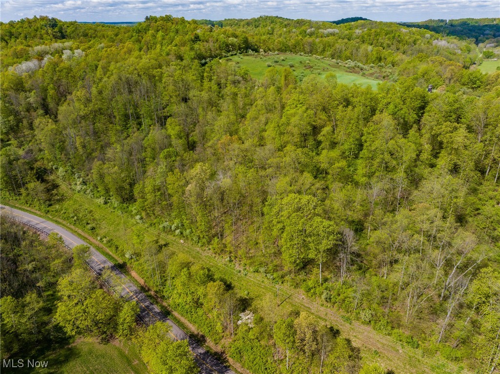 1220 Allgyer Road, Gnadenhutten, Ohio image 10