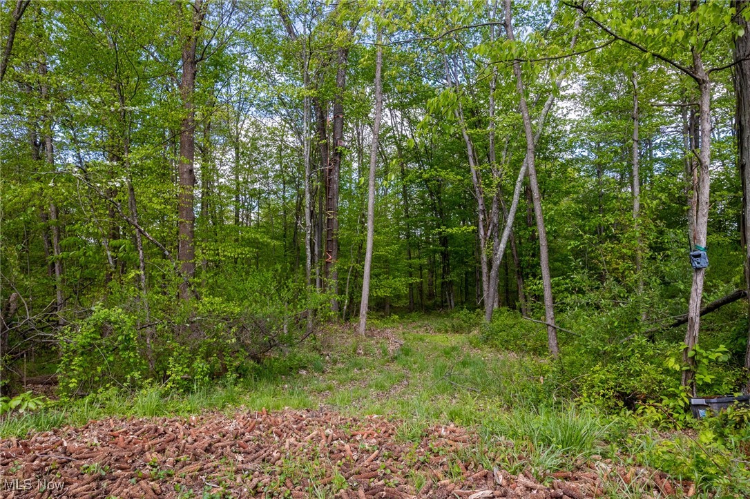 1220 Allgyer Road, Gnadenhutten, Ohio image 14