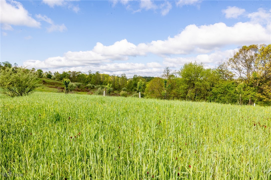 1220 Allgyer Road, Gnadenhutten, Ohio image 7