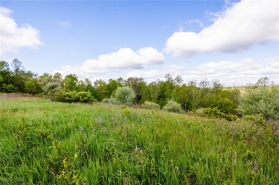 1220 Allgyer Road, Gnadenhutten, Ohio image 13