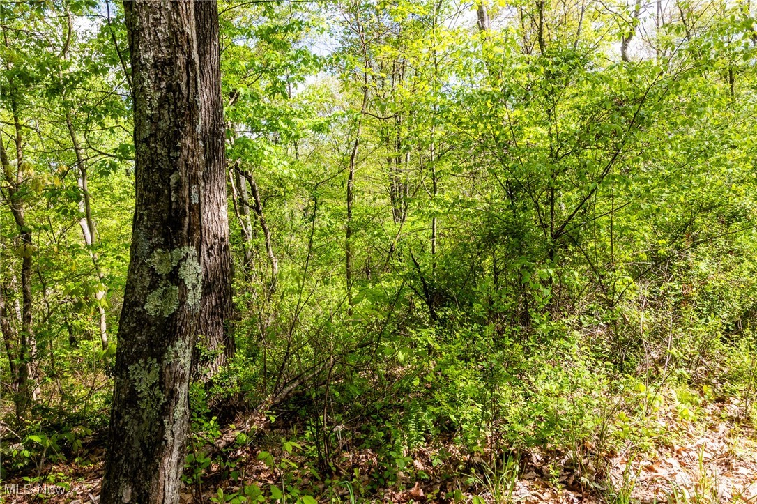 1220 Allgyer Road, Gnadenhutten, Ohio image 3