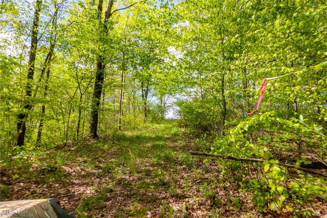 1220 Allgyer Road, Gnadenhutten, Ohio image 5